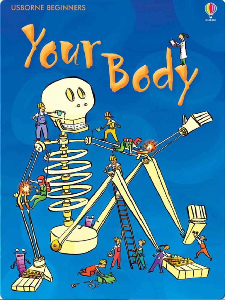 Your Body | PDF