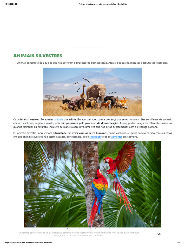 Animais Silvestres - o Que São, Exemplos, Tráfico - Escola Kids | PDF