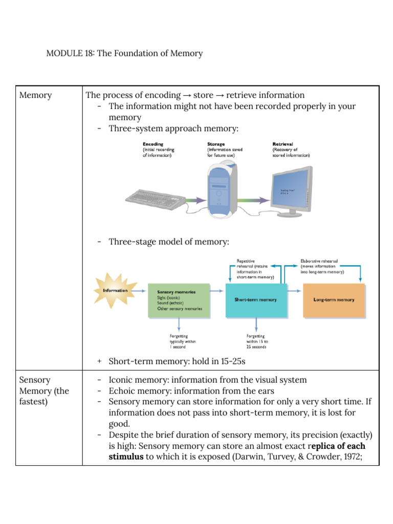 MODULE 18 - The Foundation of Memory | PDF | Memory | Cognitive Science