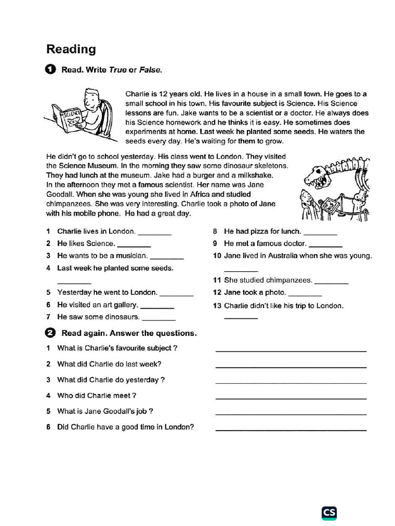 Reading Comprehension | PDF