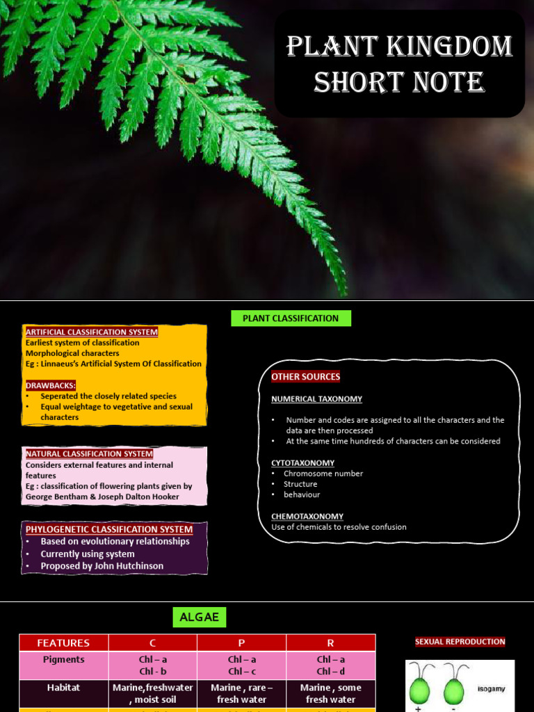 Plant Kingdom - Short Note | PDF | Moss | Fern