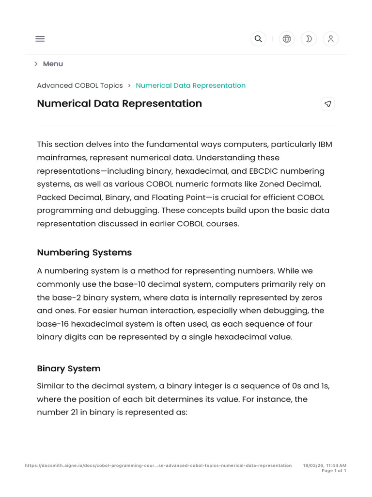 Numerical Data Representation | PDF