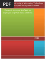 Download Causes of stress and its effects on Employees of private banks of Quetta by Varda Niazi SN101206939 doc pdf