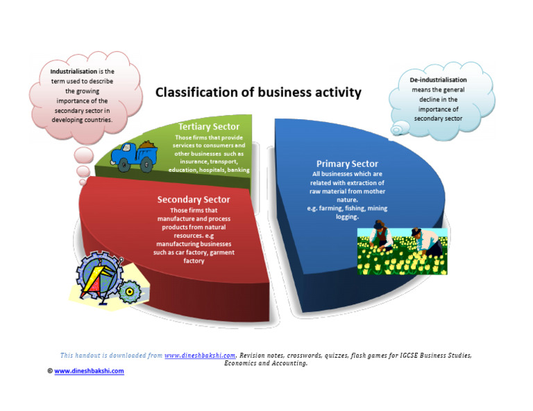 Classification of Business Activity | PDF