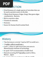 Final Single Cell Protein