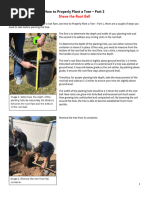 Tree Plantation: Process and Guidelines | PDF