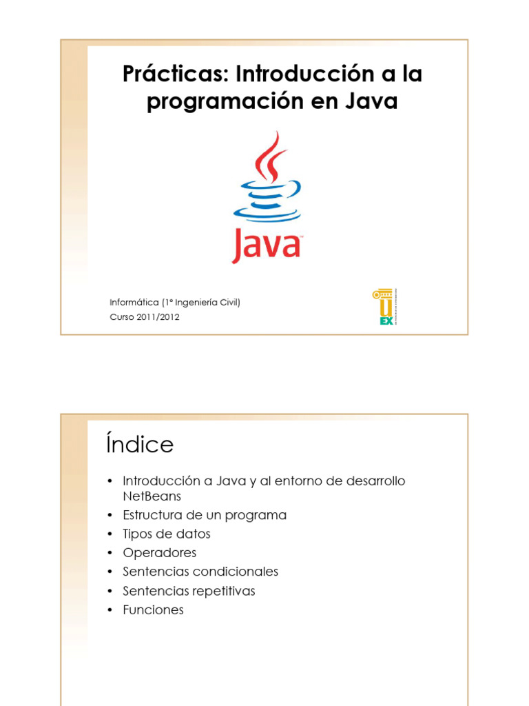 Introduccion Programacion en Java | PDF | Java (lenguaje de ...