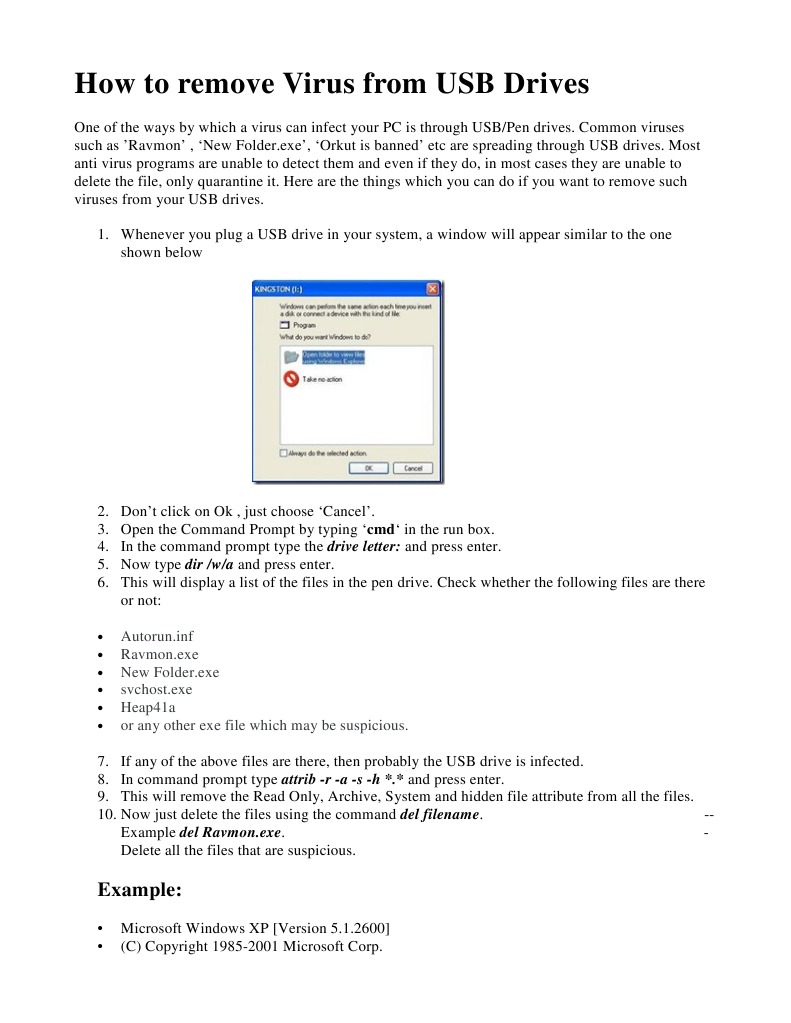 How To Remove Virus From USB Drives LAST | PDF