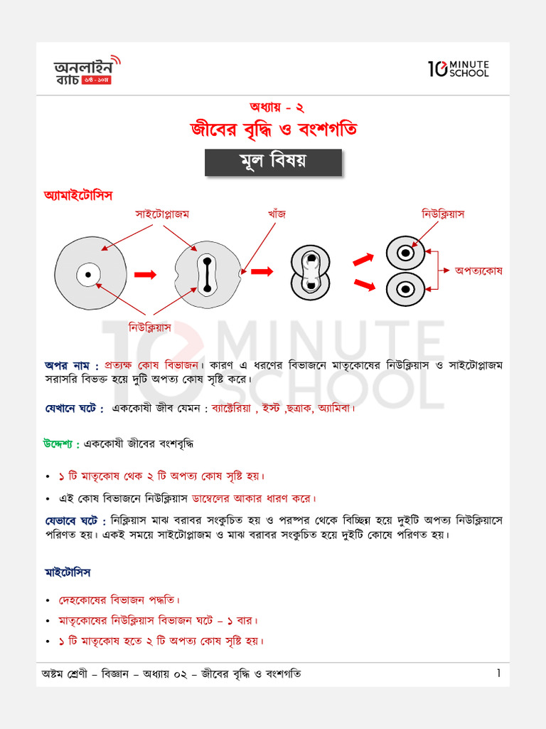 Class 8 Science Chapter 2 (Lecture Sheet) | PDF