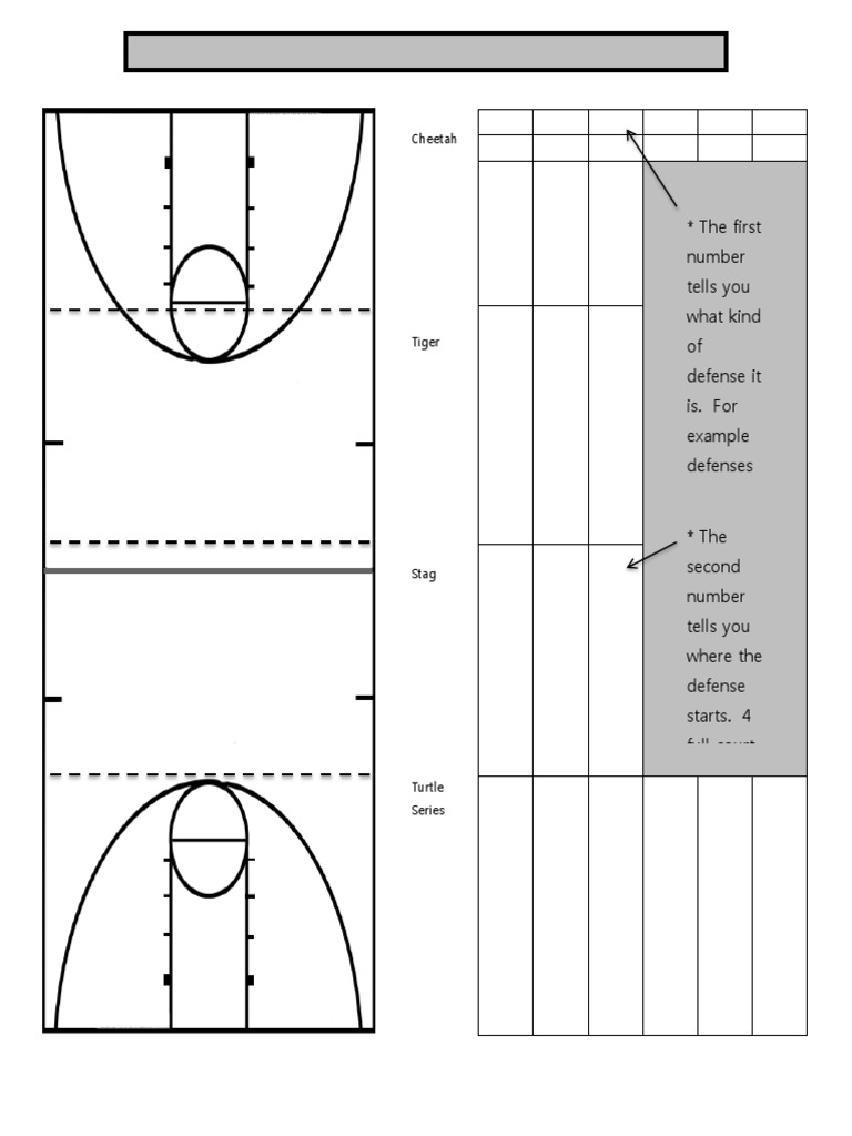 Multiple Defense System | PDF
