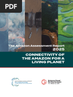 The Amazon Assessment Report 2025 - Connectivity of The Amazon For ...