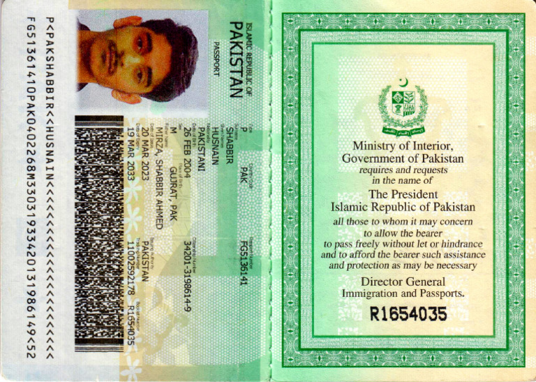 Hasnain 260309 121246 | PDF