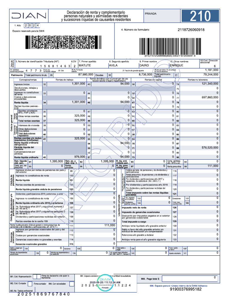 Proc Trib Form 210 Caso Practico | PDF