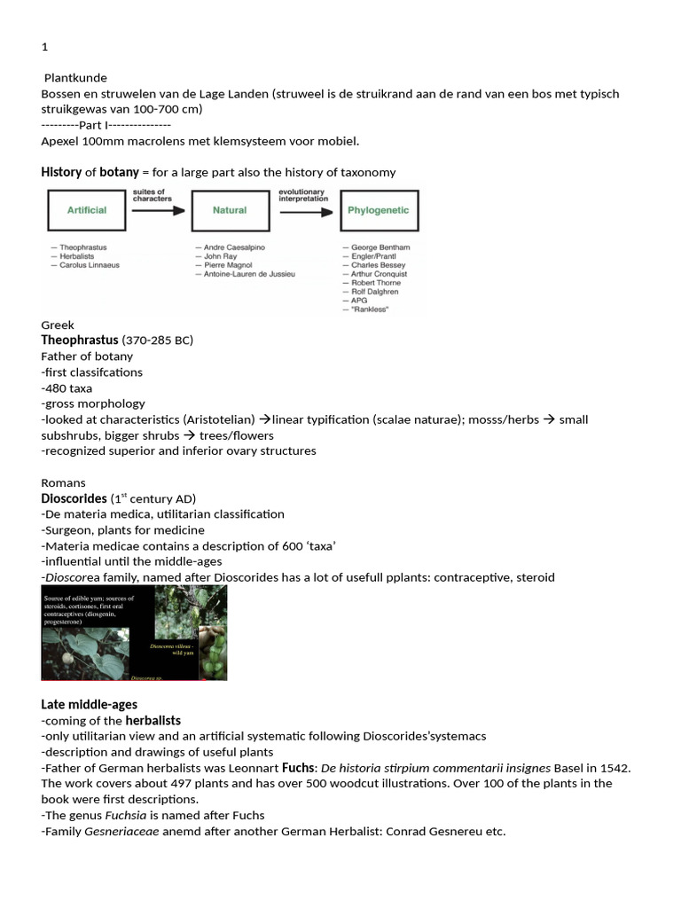 Plantkunde Botanie en Evolutie | PDF