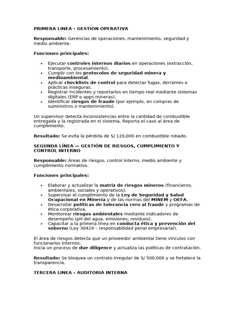 Ejemplo Primera Linea | PDF | Auditoría | Cumplimiento normativo