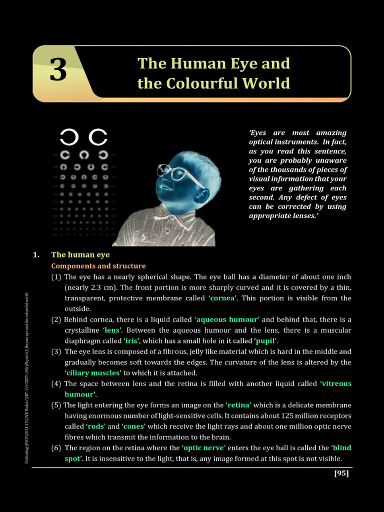 The Human Eye and the Colourful World - Converted | PDF