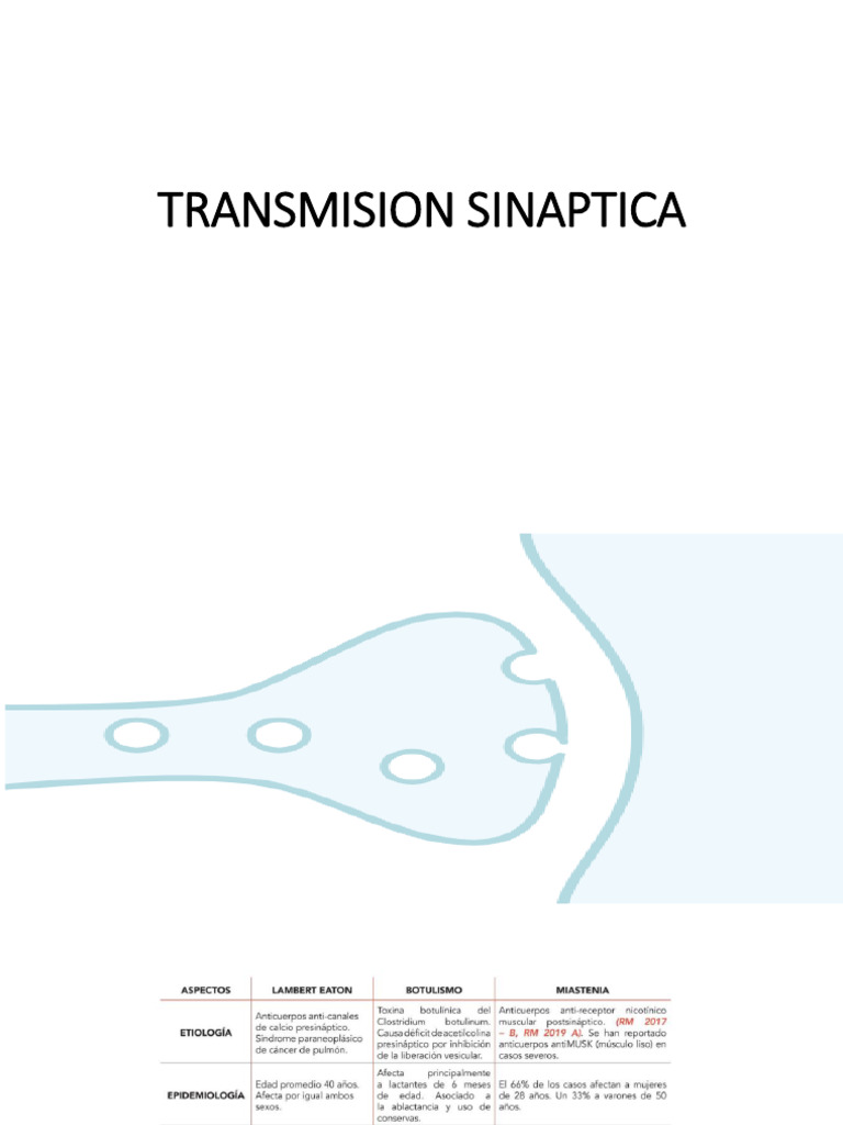 TRANSMISION SINAPTICA | PDF