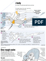 Olympic Swimming Explained