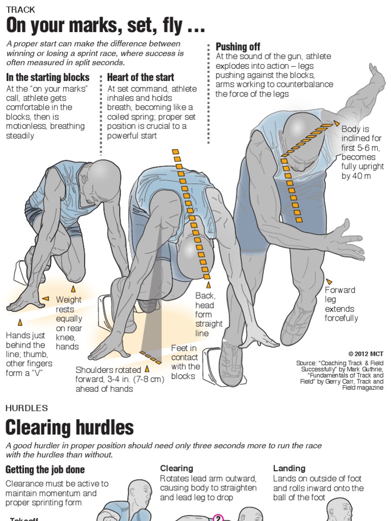 Olympic Track & Field Events Explained PDF Track And Field Running