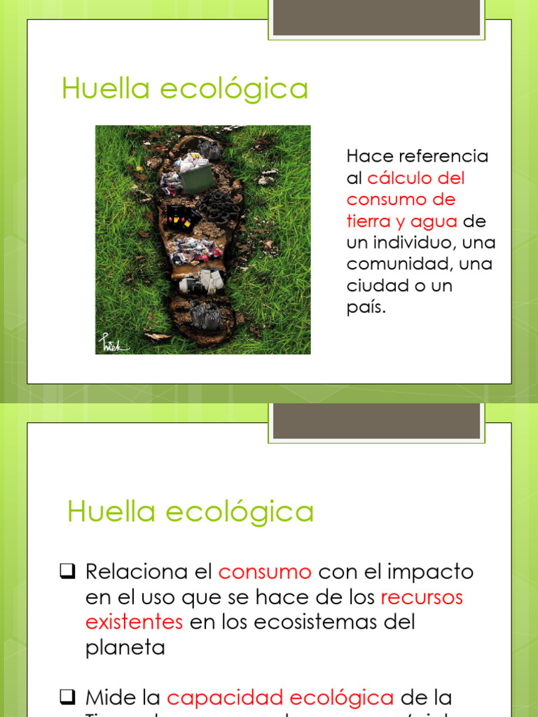 Unidad 1 Huella Ecológica y Análisis de Ciclo de Vida | PDF ...