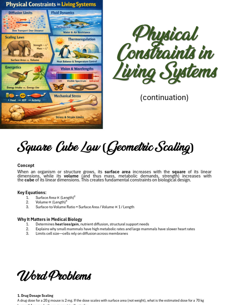 Cont... Physical Constraints in Living Systems | PDF | Blood Vessel ...