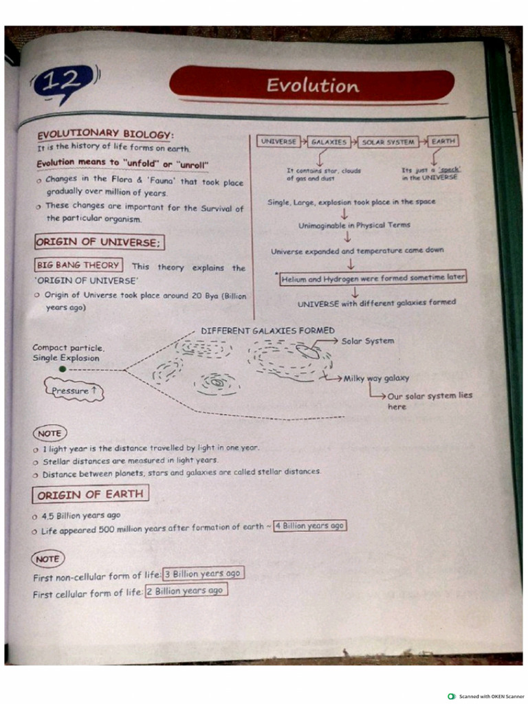 Zoology Med Easy Samapti Mam (1)(1)(1) (2) | PDF