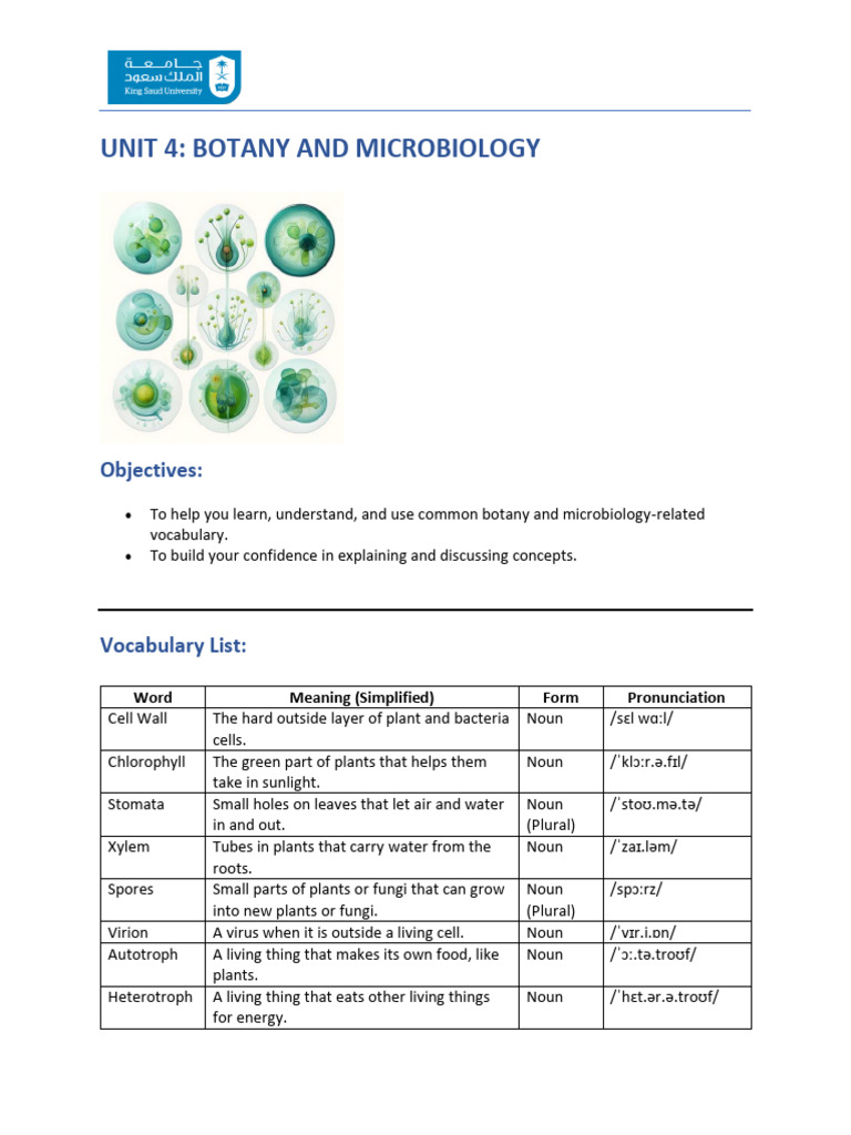 Scientific Terminologies unit 4 | PDF | Plants | Leaf