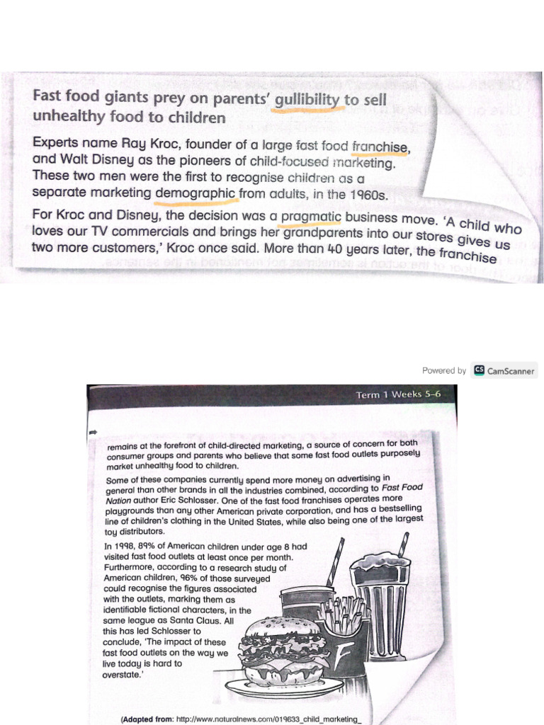 Comprehension Text | PDF