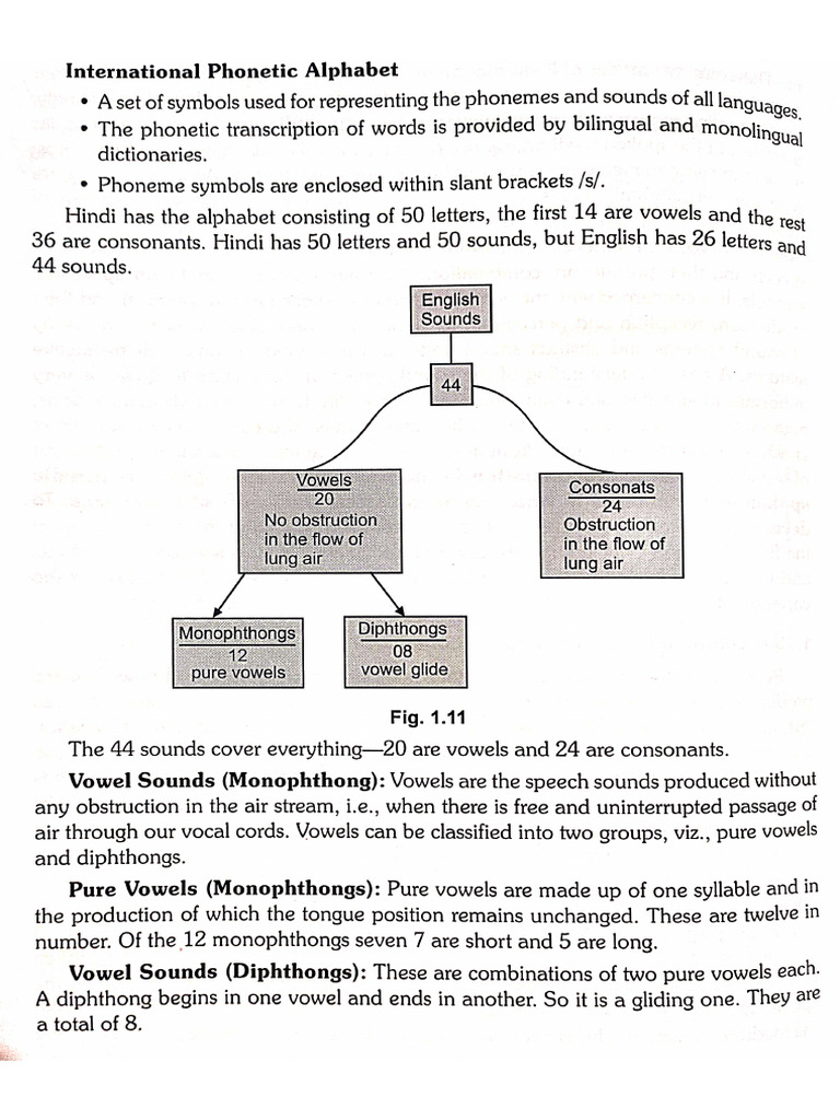Vowel and Consonant Sounds | PDF