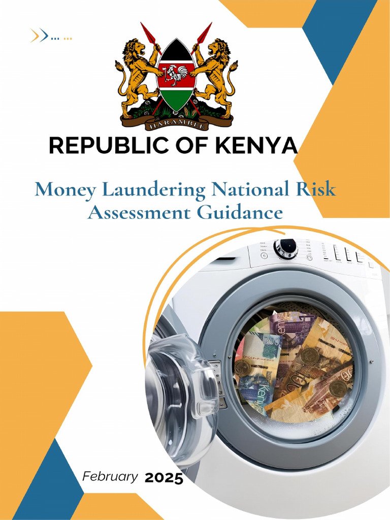 ML Risk Assessment Guidance Feb. 2025 | PDF | Money Laundering ...