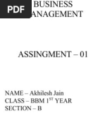 Business Management: NAME - Akhilesh Jain Class - BBM 1 Year Section - B