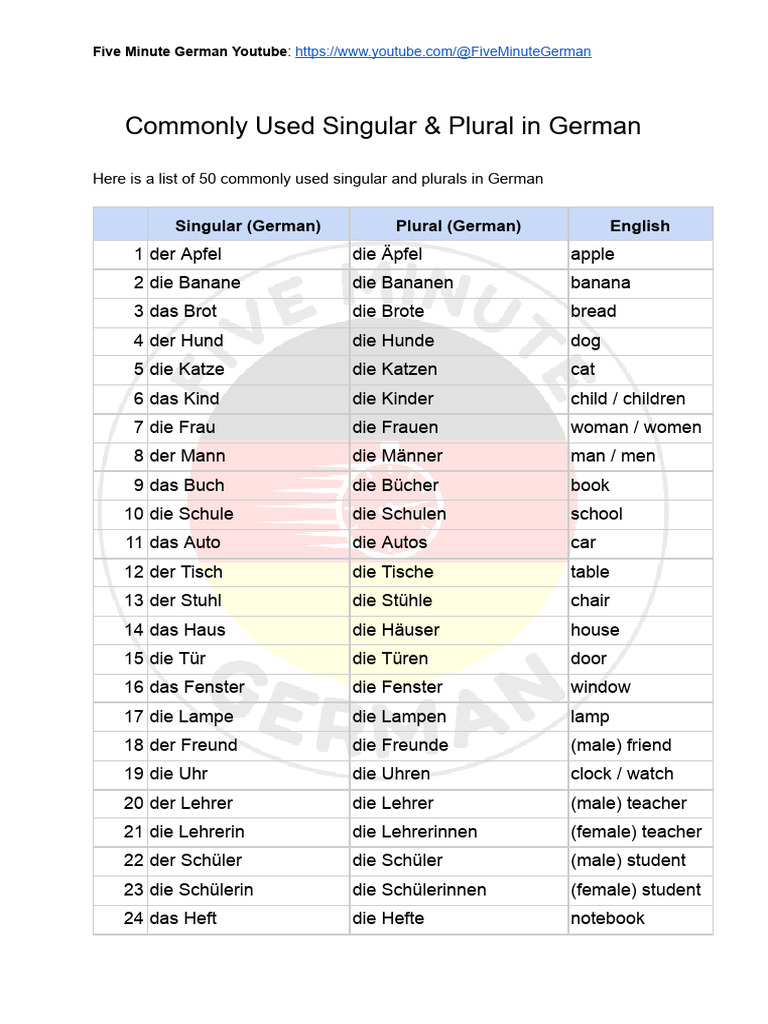 Commonly Used Singular Plural in German | PDF