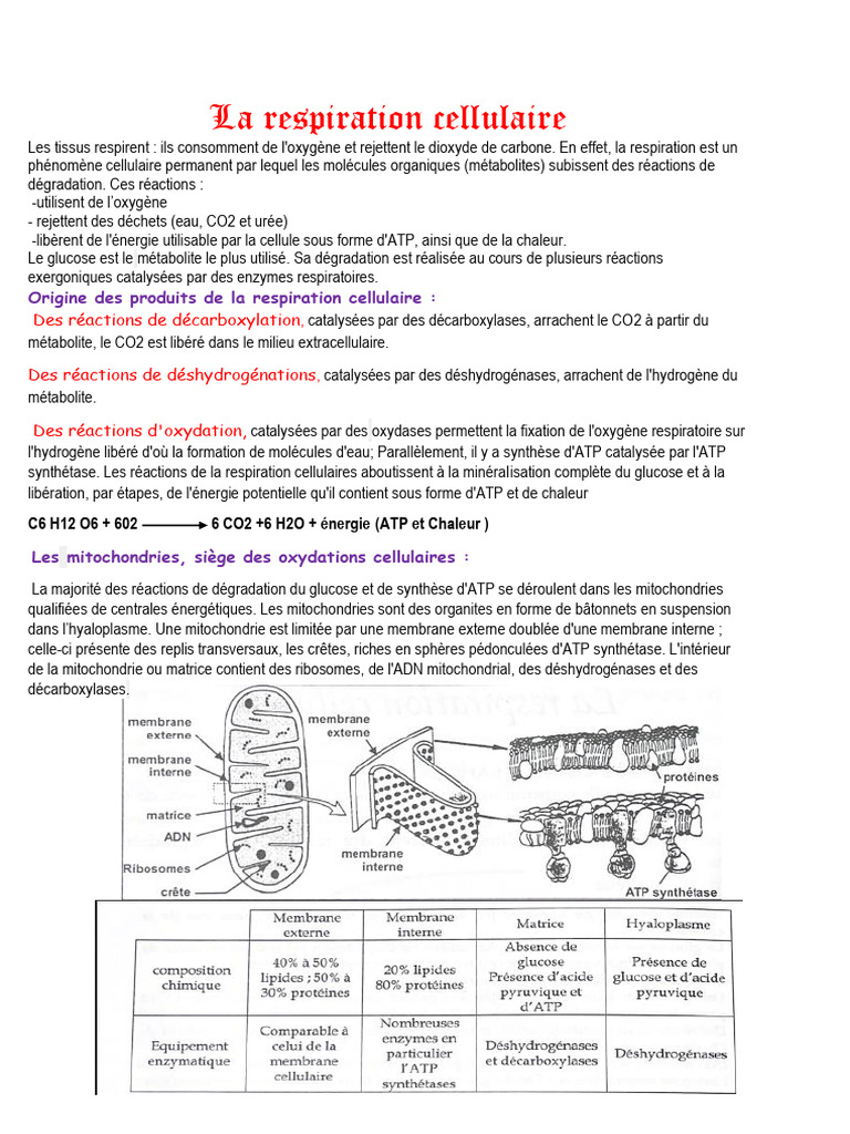 Respiration Cellulaire 3sc 2026 | PDF | Adénosine triphosphate ...
