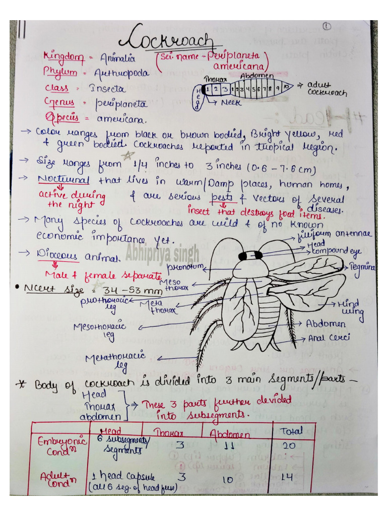Cockroach Notes | PDF