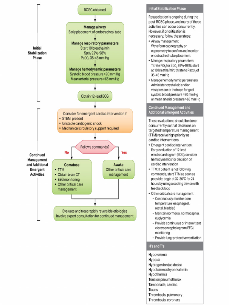 ACLS Algorithm | PDF