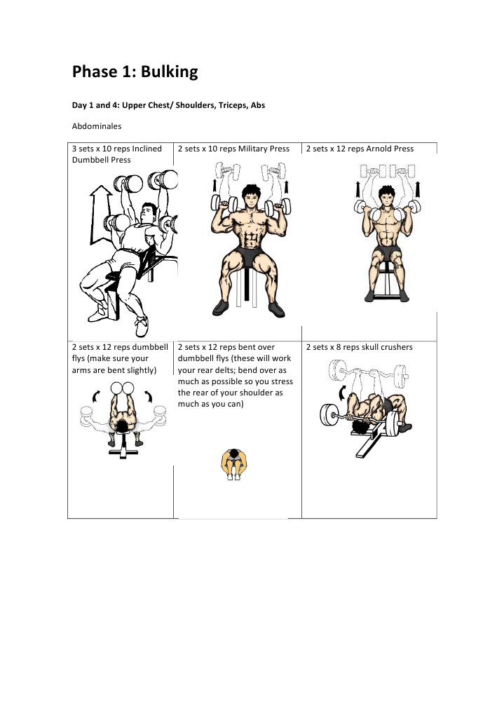 Our Workout Will Be Over A Seven Month Period | PDF
