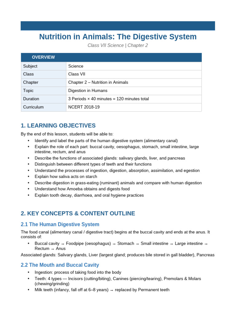 Digestive System Lesson Plan | PDF | Digestion | Human Digestive System