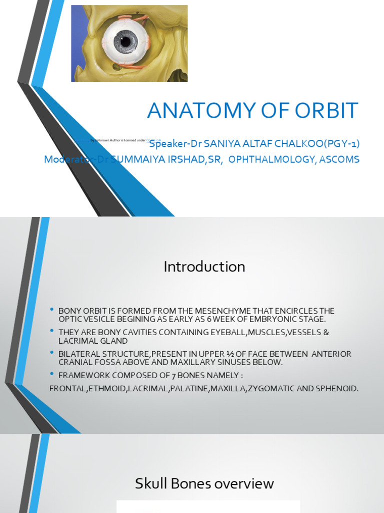 ANATOMY of ORBIT L0Development of Ocular Structures | PDF | Skeletal ...