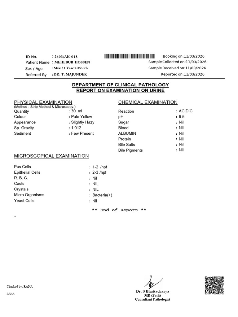 LabReportPrint (2) (2) | PDF | Pathology | Medical Microbiology