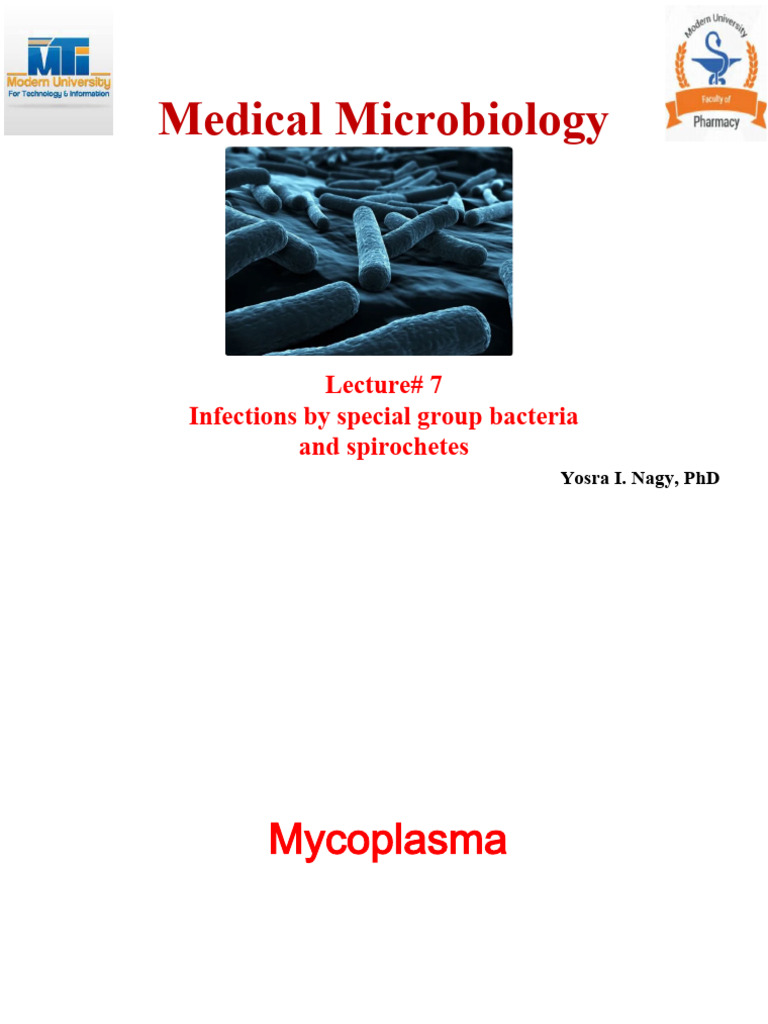 Lecture 7 Medical Micro | PDF | Lyme Disease | Infection