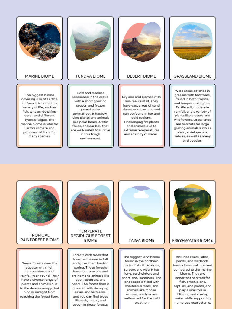 CLIMATE | PDF | Cloud | Atmosphere Of Earth