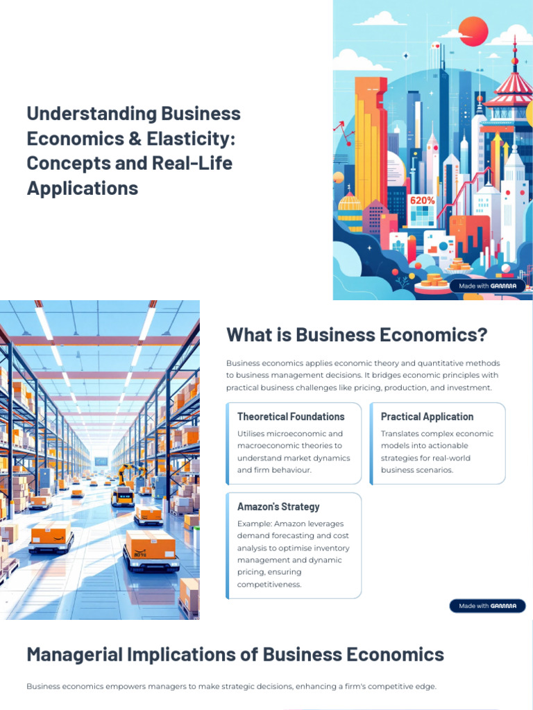 Understanding Business Economics and Elasticity Concepts and Real Life ...