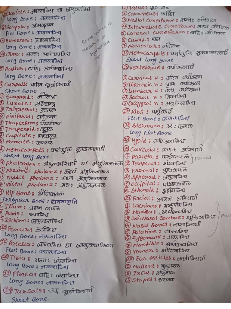 Bones Name in Modern and Ayurveda (1) | PDF