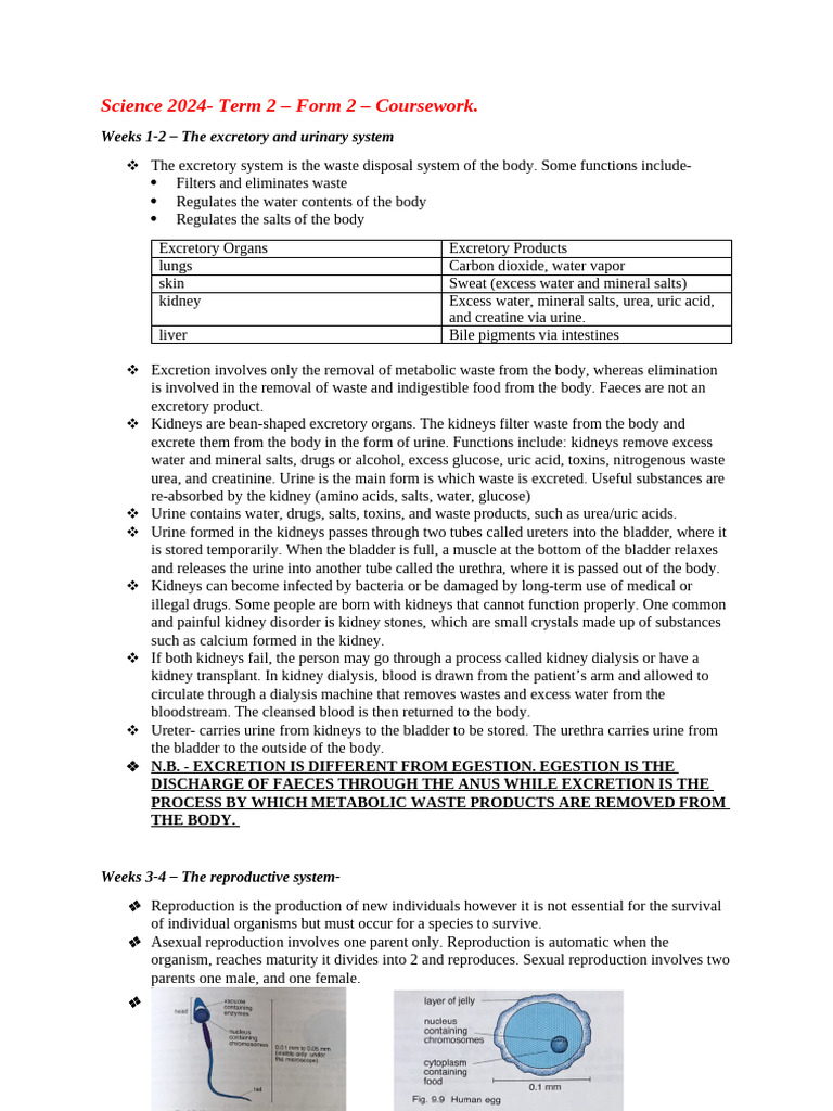 Science 2024 Term 2 Form 2 CW | PDF | Menstrual Cycle | Urine