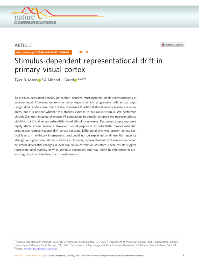 Visual Cortex Drift | PDF | Visual Cortex | Cerebral Cortex