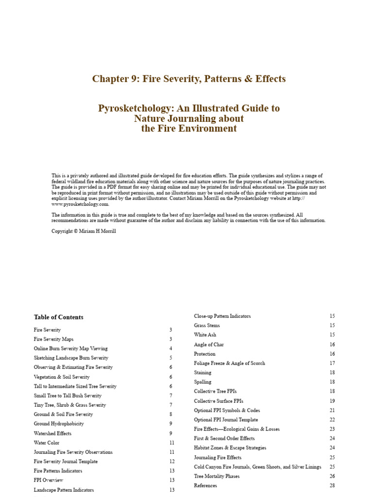 9 - Fire Severity, Patterns & Effects | PDF | Soil | Fires