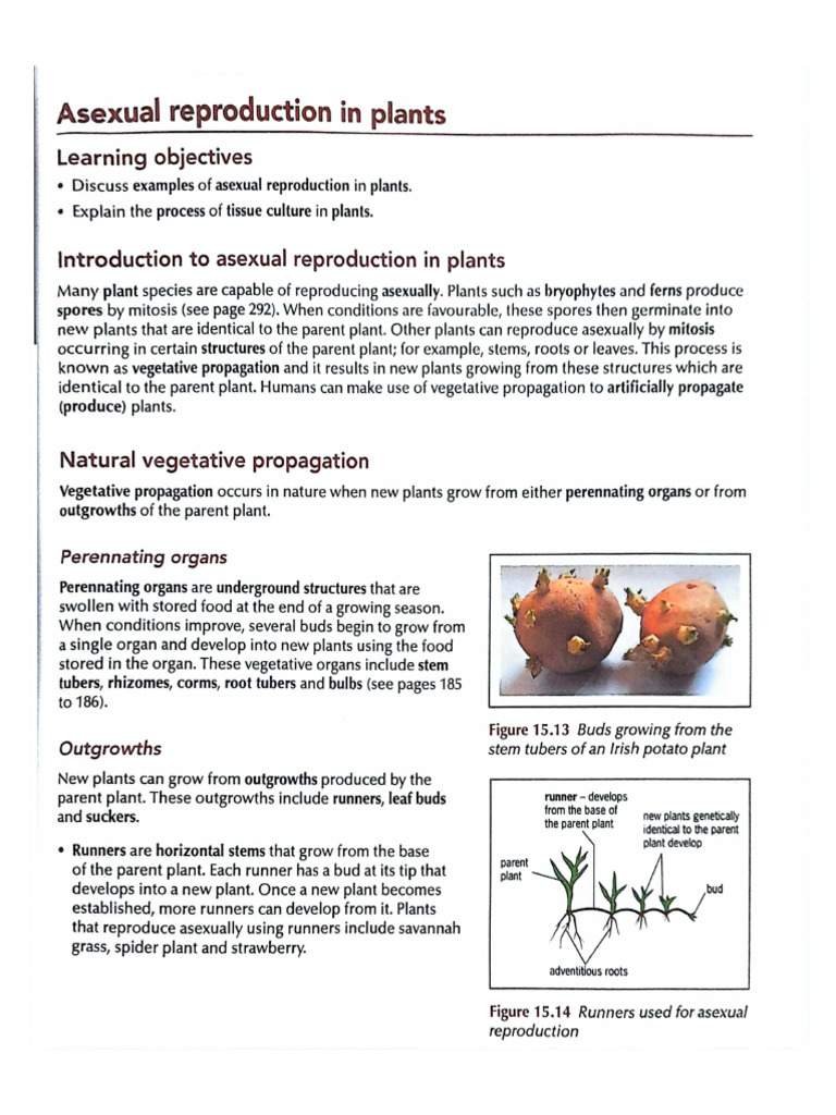 Asexual Reproduction in Plants Handout-1 | PDF
