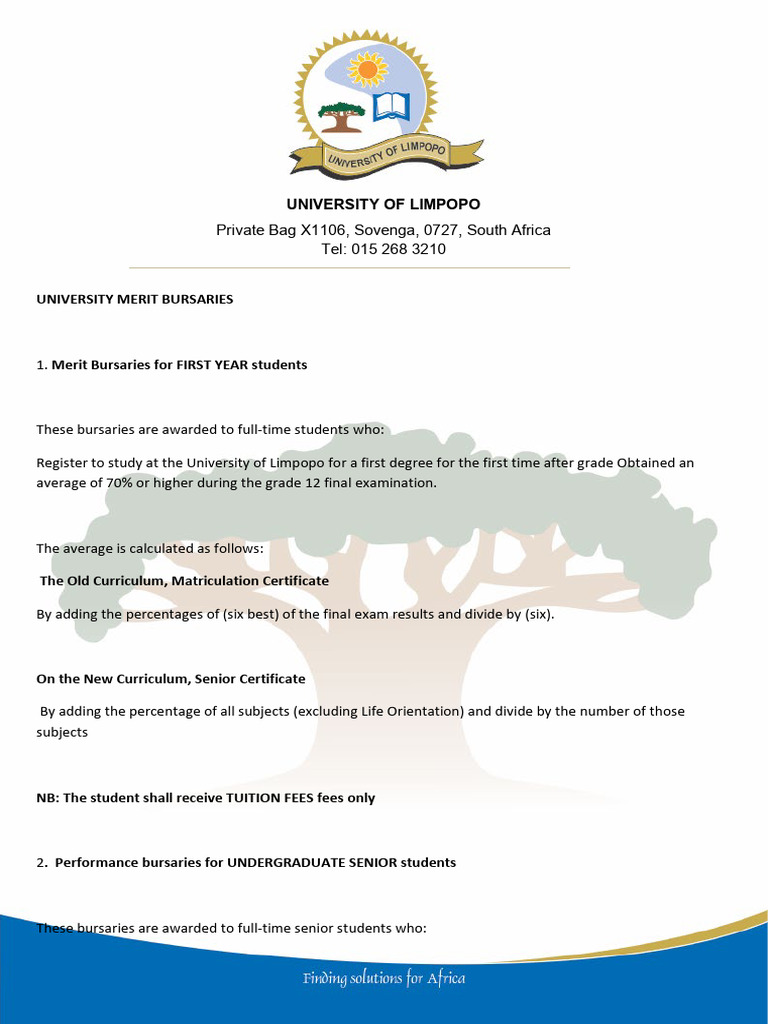 University Merit Bursaries | PDF