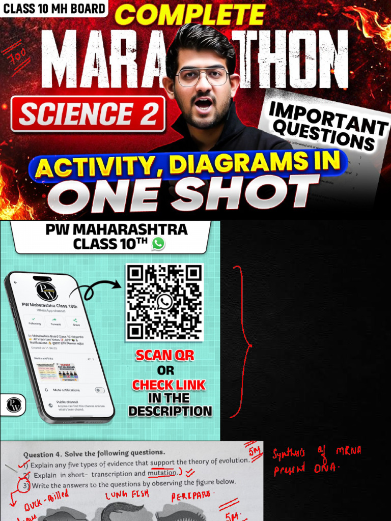 Science 2 All Activity One Shot | PDF