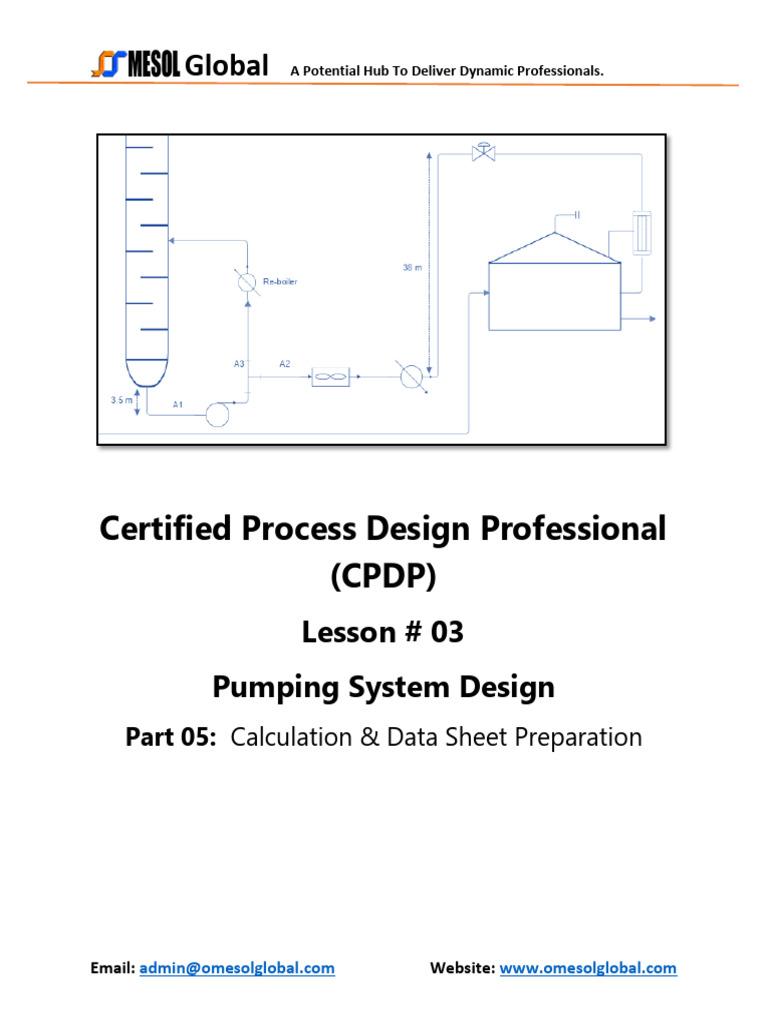 CPDP 080226 Pumping System Design Data Sheet Preparation | PDF | Pump ...